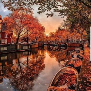 Meet your Posher, Charlene